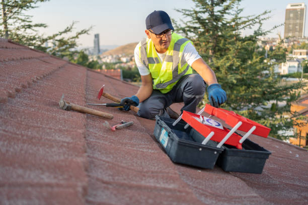 Best Wood Siding Installation  in Belmont, WI